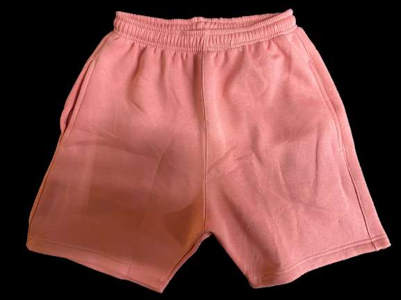 A2Z Fleece Shorts